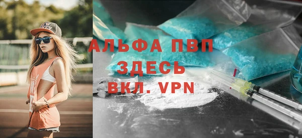 СК Абинск